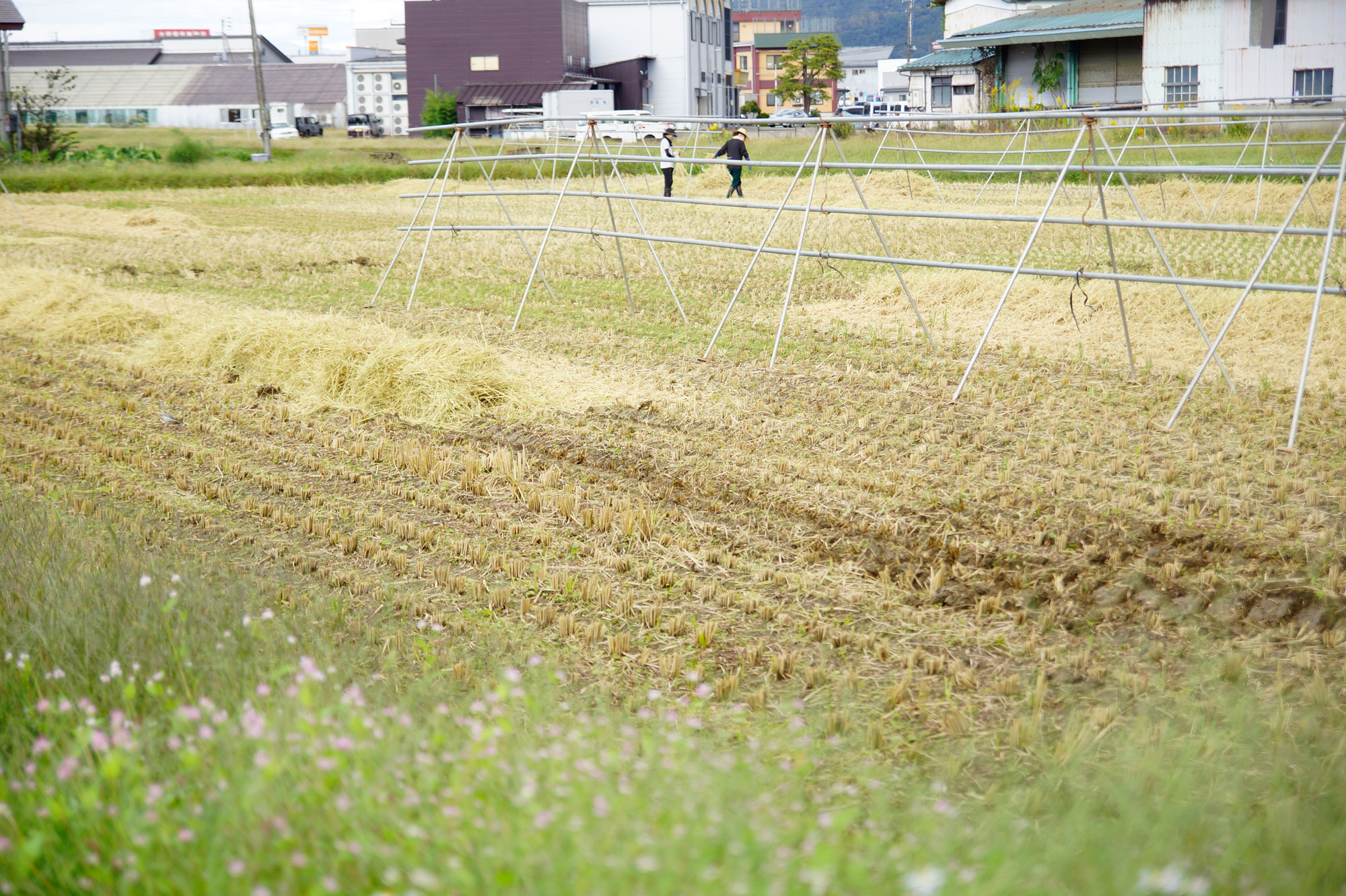 フエキ農園さんの画像