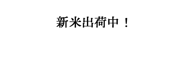 金峰コシヒカリ