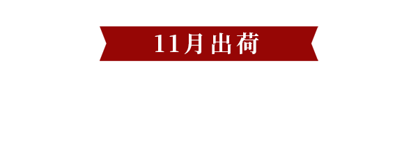 11月