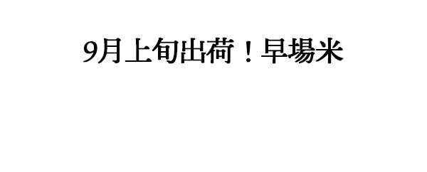 男の浪漫