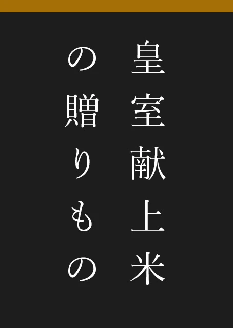 おすすめ商品