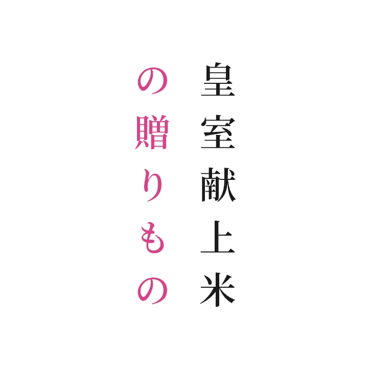 おすすめ商品