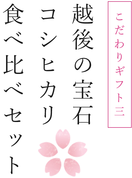 『越後の宝石』魚沼産コシヒカリ真空キューブ9個セット(無洗米・各300g)