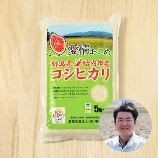【新米出荷中】【定期購入】【白米・玄米】中条農産さんの新潟県胎内市産コシヒカリ(特別栽培米)