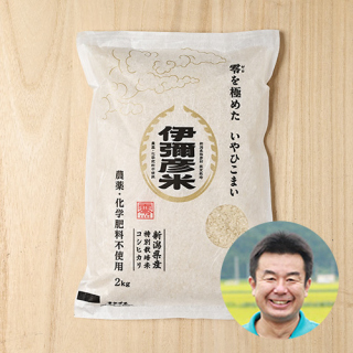 【新米出荷中】第四生産組合さんの新潟県弥彦村産『伊彌彦米零』コシヒカリ(特別栽培米)