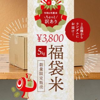 【福袋】ちょっと訳ありツナギの令和6年産新米『福袋米』5kg